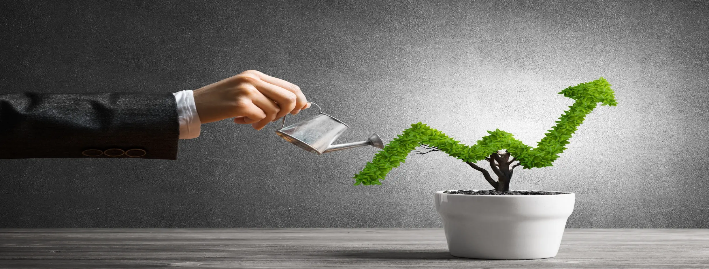 Image for Stable Growth